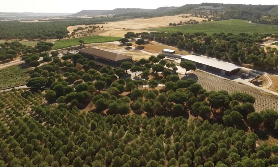 Bodega Abadía Retuerta
