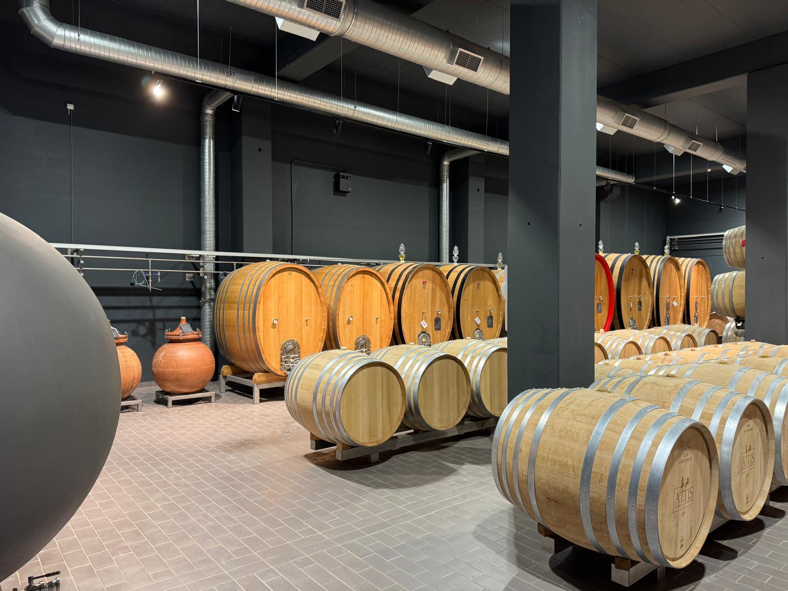 La vendimia comienza: tecnología y control para que todo funcione en la bodega