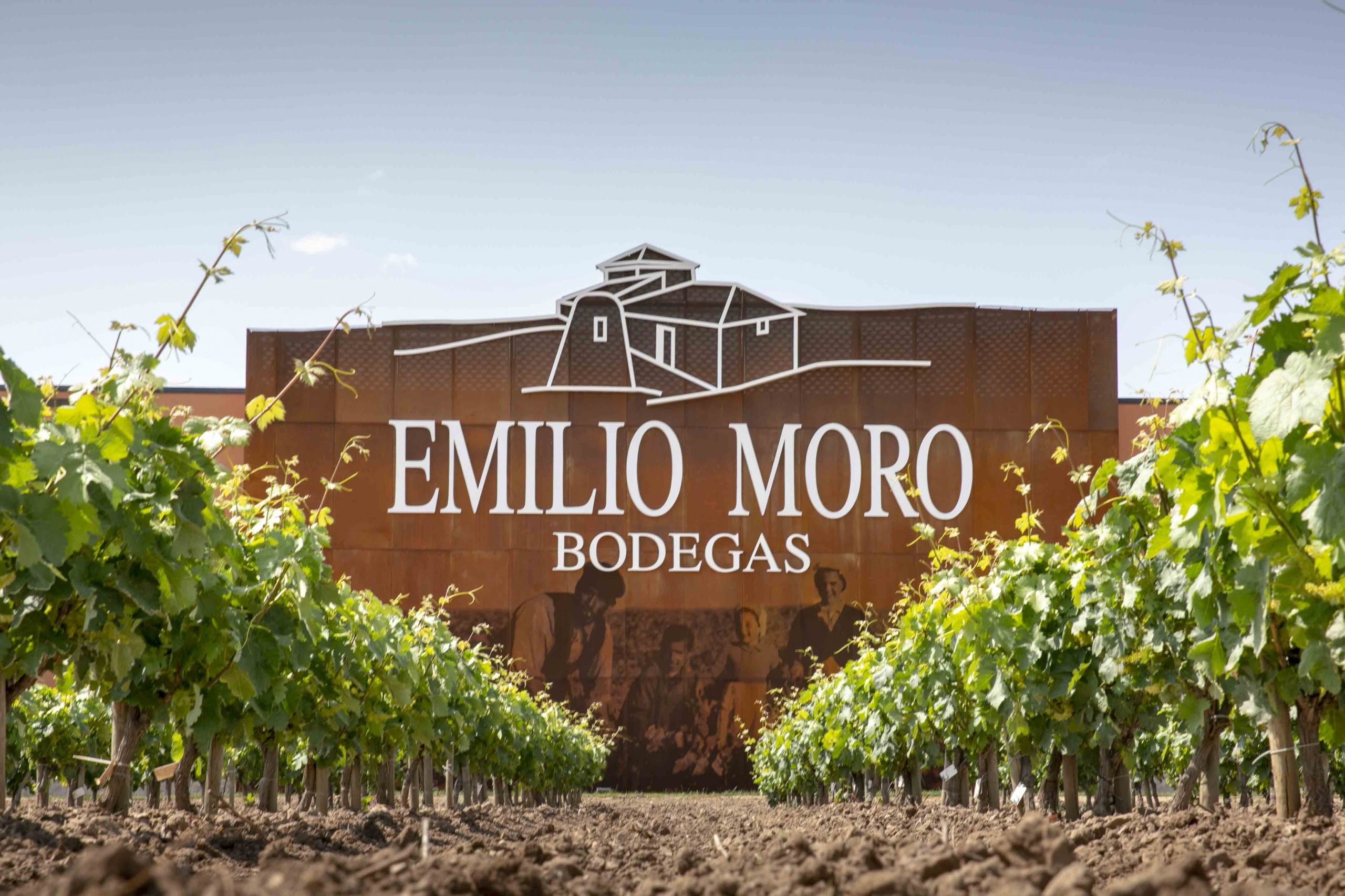 Sigena culmina su participación en el proyecto de modernización de Bodegas Emilio Moro